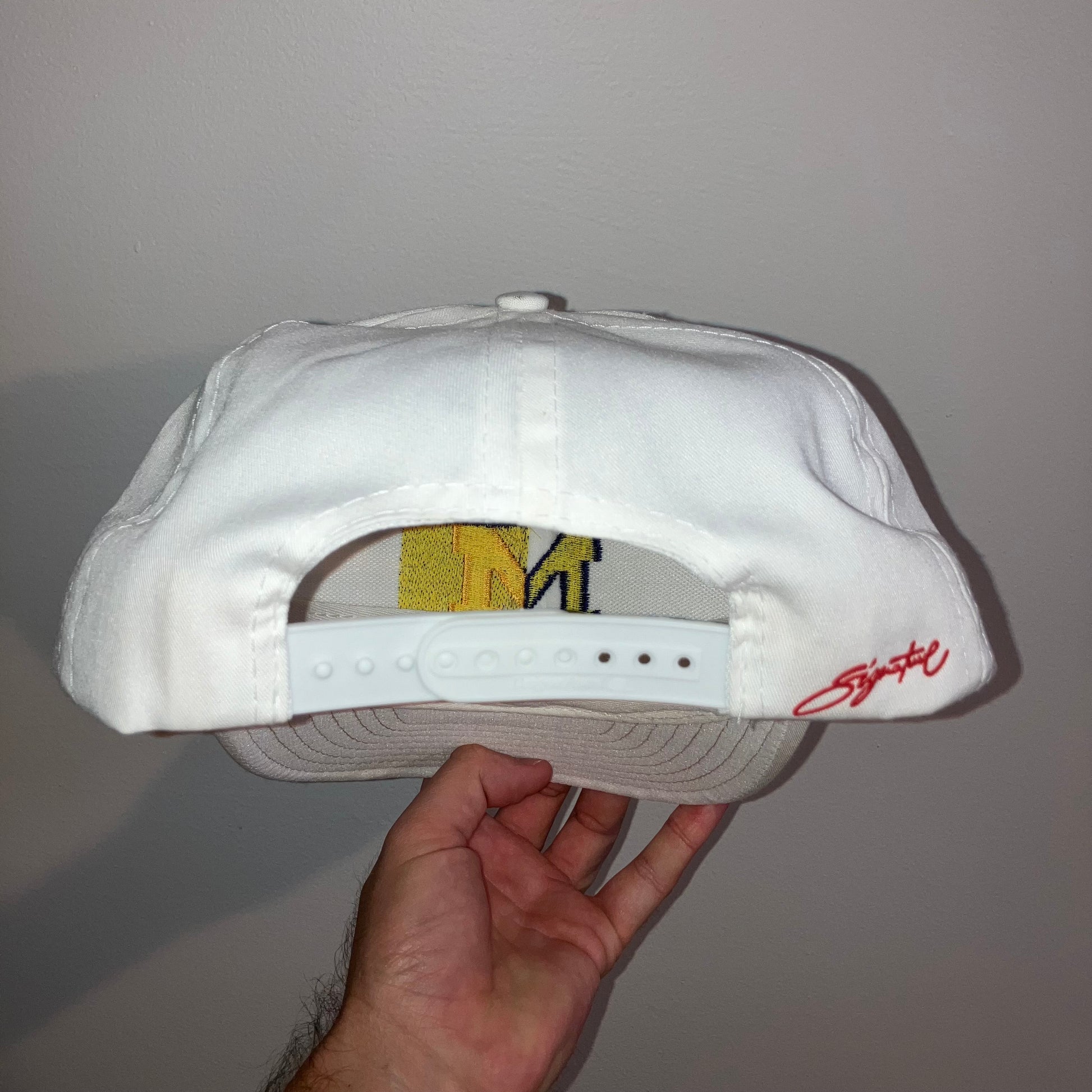 Michigan Wolverines Split Signature Snapback Hat