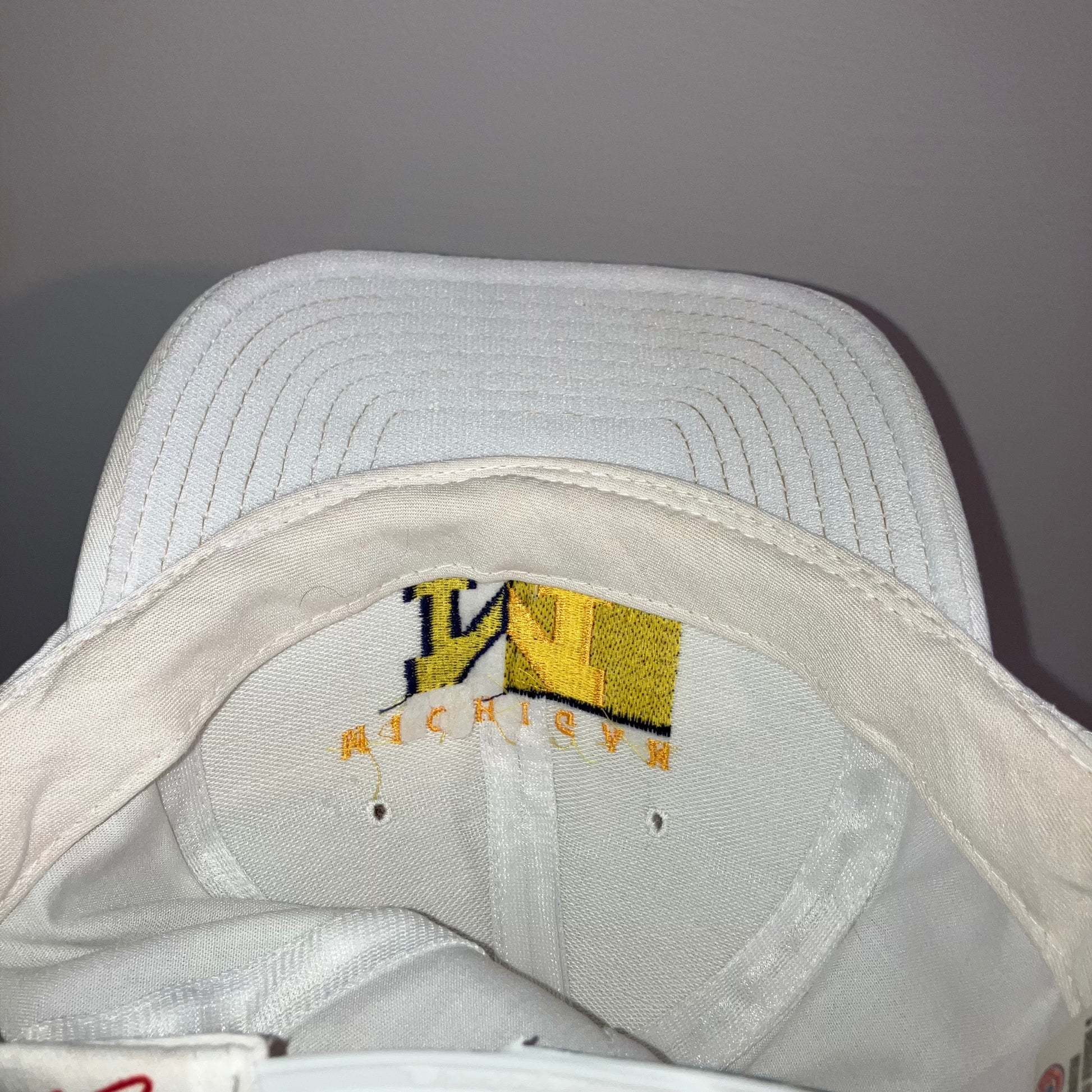 Michigan Wolverines Split Signature Snapback Hat
