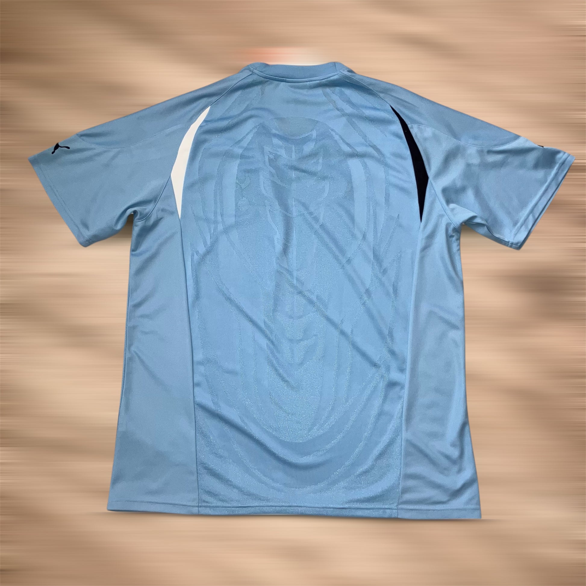 Tottenham Hotspur 2010/11 NWT Blue Away Puma Jersey XL