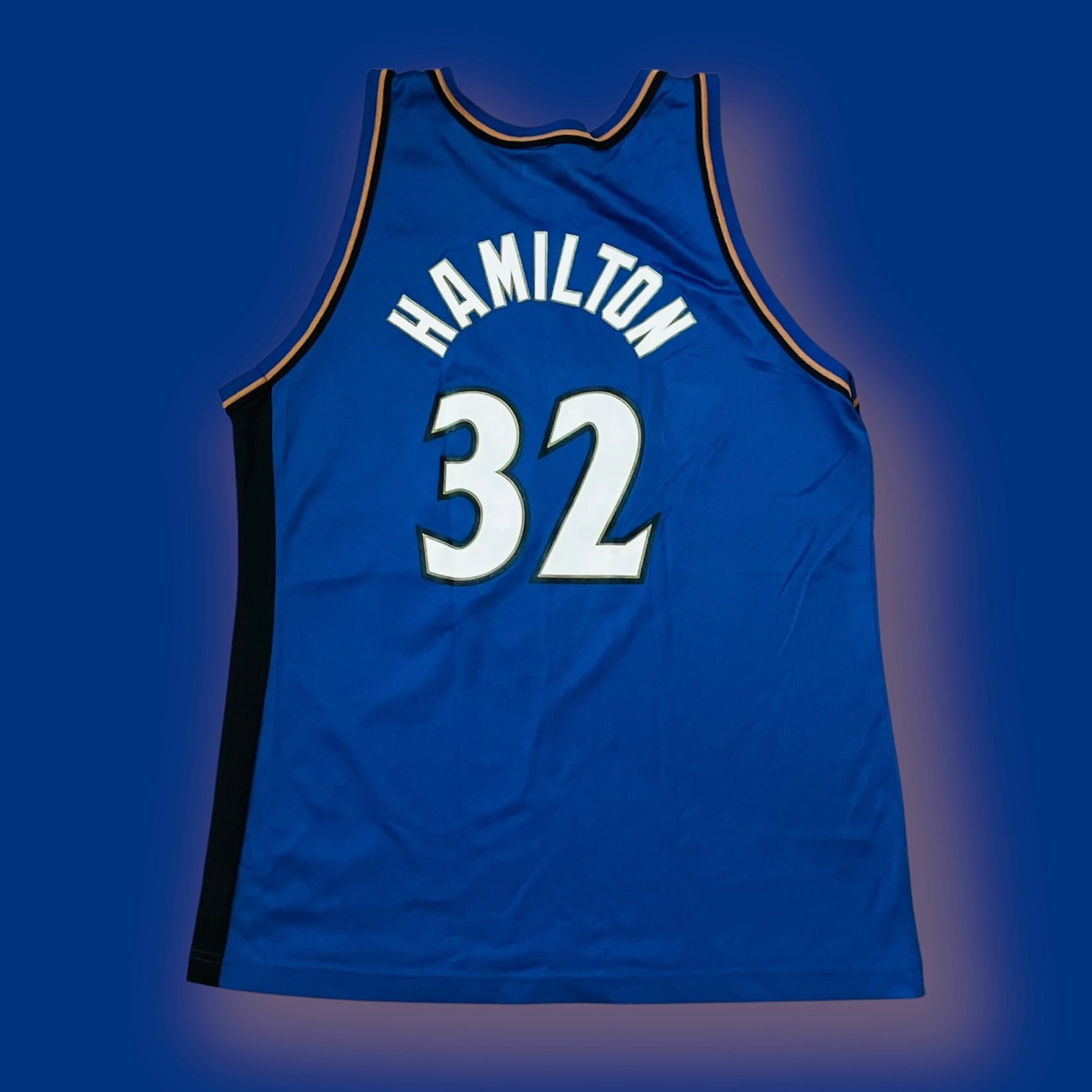 Rip Hamilton Washington Wizards Blue Champion Jersey 44