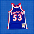 Artis Gilmore 1974 Kentucky Colonels Blue Swingman Jersey